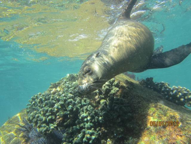 Tan cerca como puedas